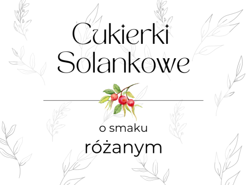CUKIERKI SOLANKOWE O SMAKU RÓŻANYM 100 g - BIO PREMIUM FOOD