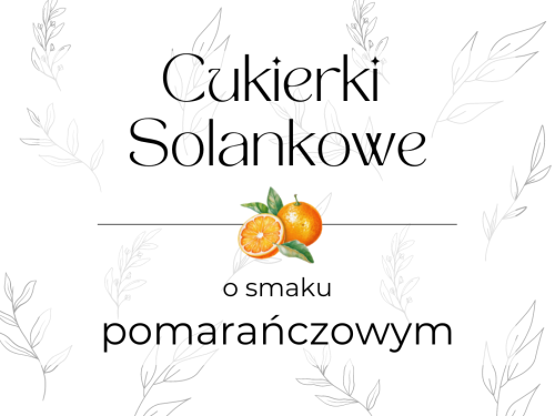 CUKIERKI SOLANKOWE O SMAKU POMARAŃCZOWYM 100 g - BIO PREMIUM FOOD