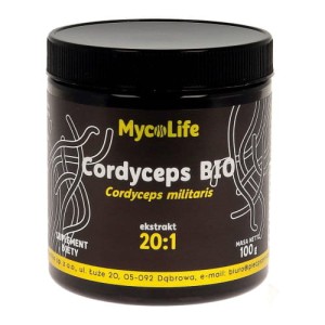 CORDYCEPS BEZGLUTENOWY BIO 100 g - MYCOLIFE