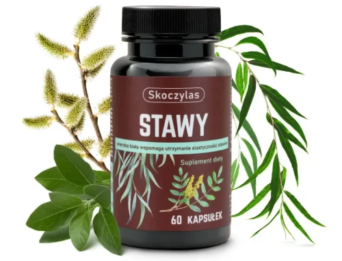 STAWY (KADZIDŁOWIEC, WIERZBA, ASHWAGANDHA, SOSNA) 60 kaps. - SKOCZYLAS