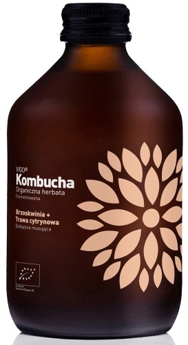 KOMBUCHA BRZOSKWINIA I TRAWA CYTRYNOWA BIO 330 ml - VIGO