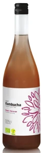 Kombucha  Mango - Marakuja Bio 750 ml - Vigo