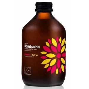 Kombucha z Hibiskusem i Cytrusami Bezglutenowa Bio 330 ml - Vigo