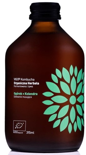 KOMBUCHA OGÓREK I KOLENDRA BIO 315 ml - VIGO