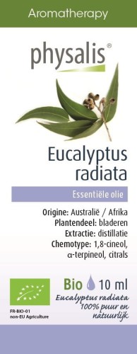 OLEJEK ETERYCZNY EUKALIPTUS AUSTRALIJSKI (EUCALYPTUS RADIATA) BIO 10 ml - PHYSALIS