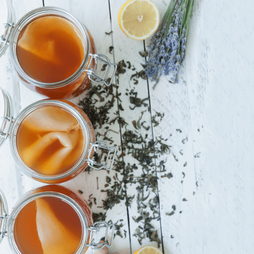 kombucha a probiotyki