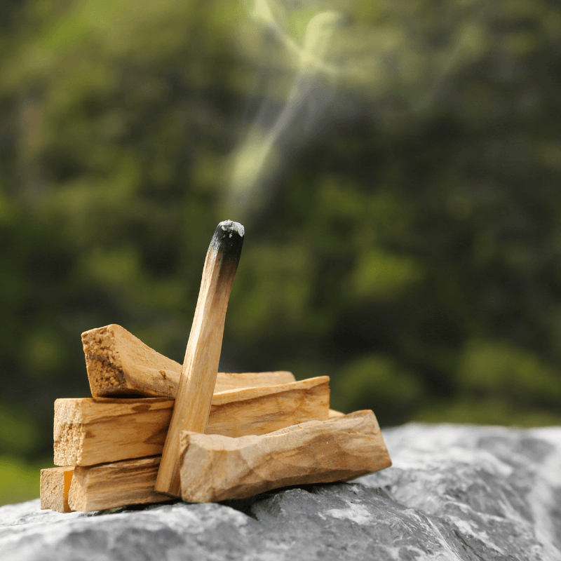 Palo Santo