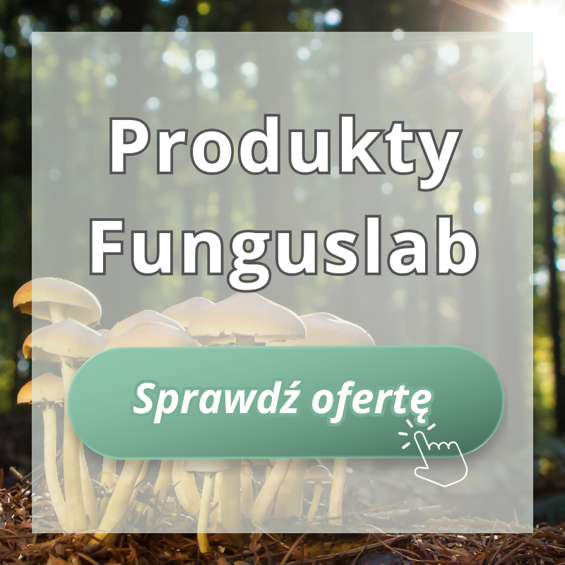 Funguslab - Katarzyna Markiewicz