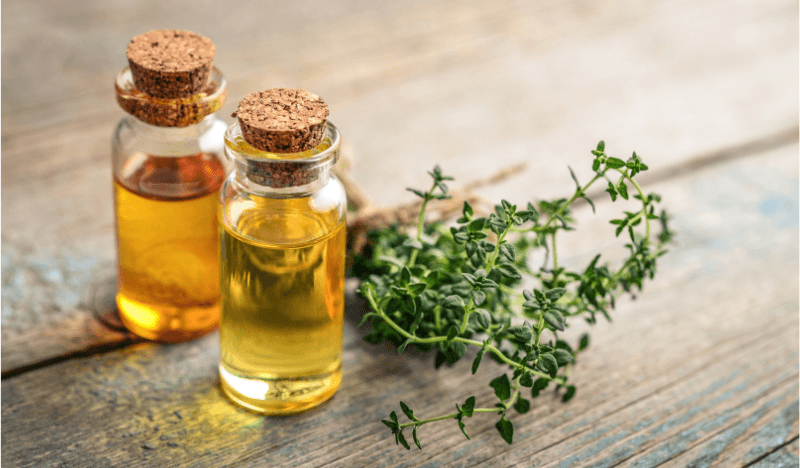 Naturalne olejki eteryczne w walce z infekcjami – co mówią badania naukowe?